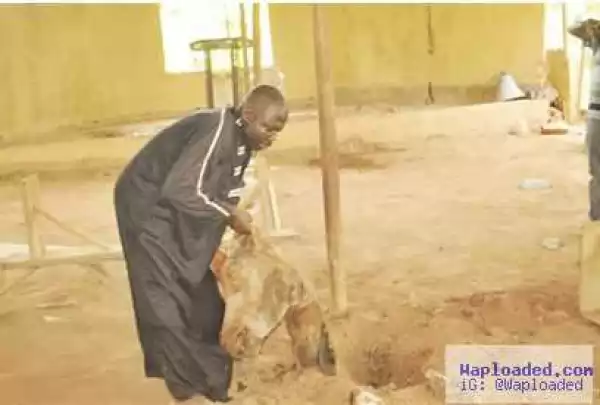 Shocker! Prophet buries cow head, tortoise in church (photo)